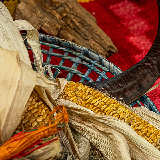 Fragmento de Santuarios / Rituales del tiempo de Silvina Martínez