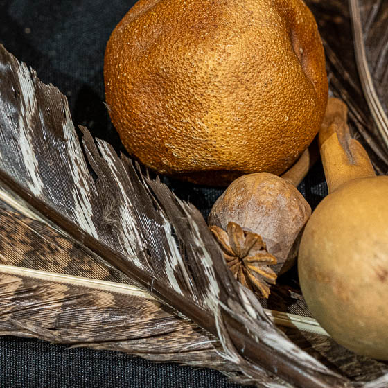 Fragmento de Santuarios / Rituales del tiempo de Silvina Martínez