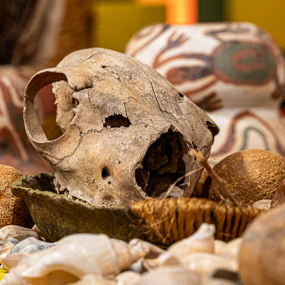 Fragmento de Santuarios / Rituales del tiempo de Silvina Martínez