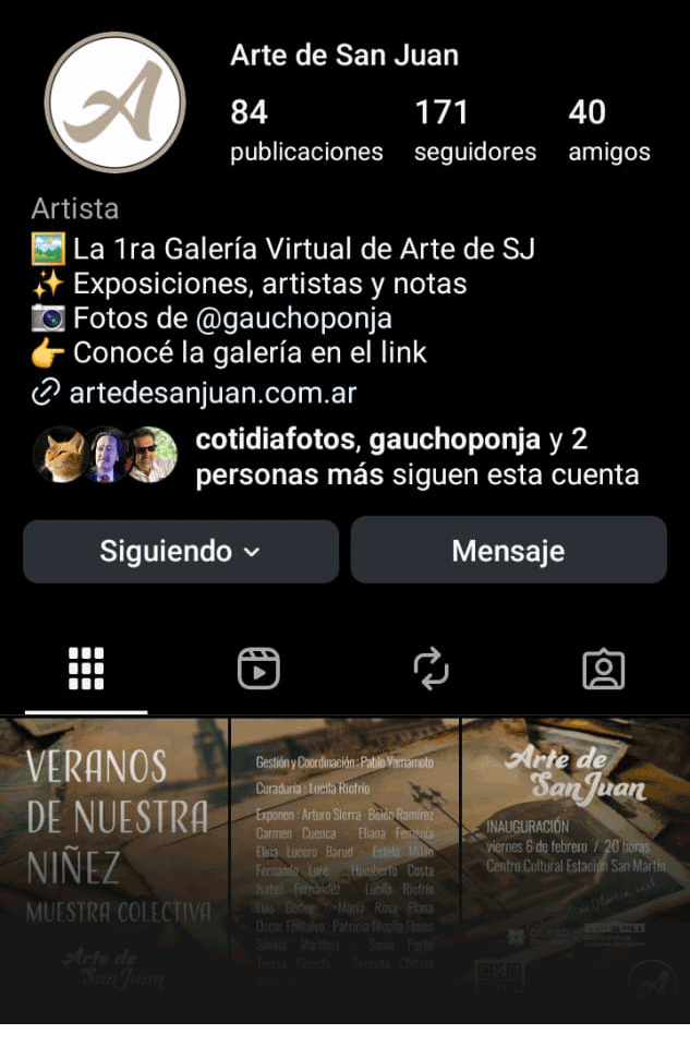 Seguinos en Instagram @artedesanjuan