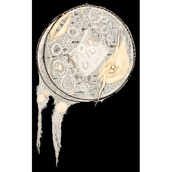 Obra de Arte Gestar Vida de Teresita Chiconi